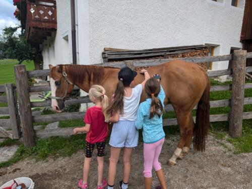 Lamaland und Kräuterzauber 2024 10